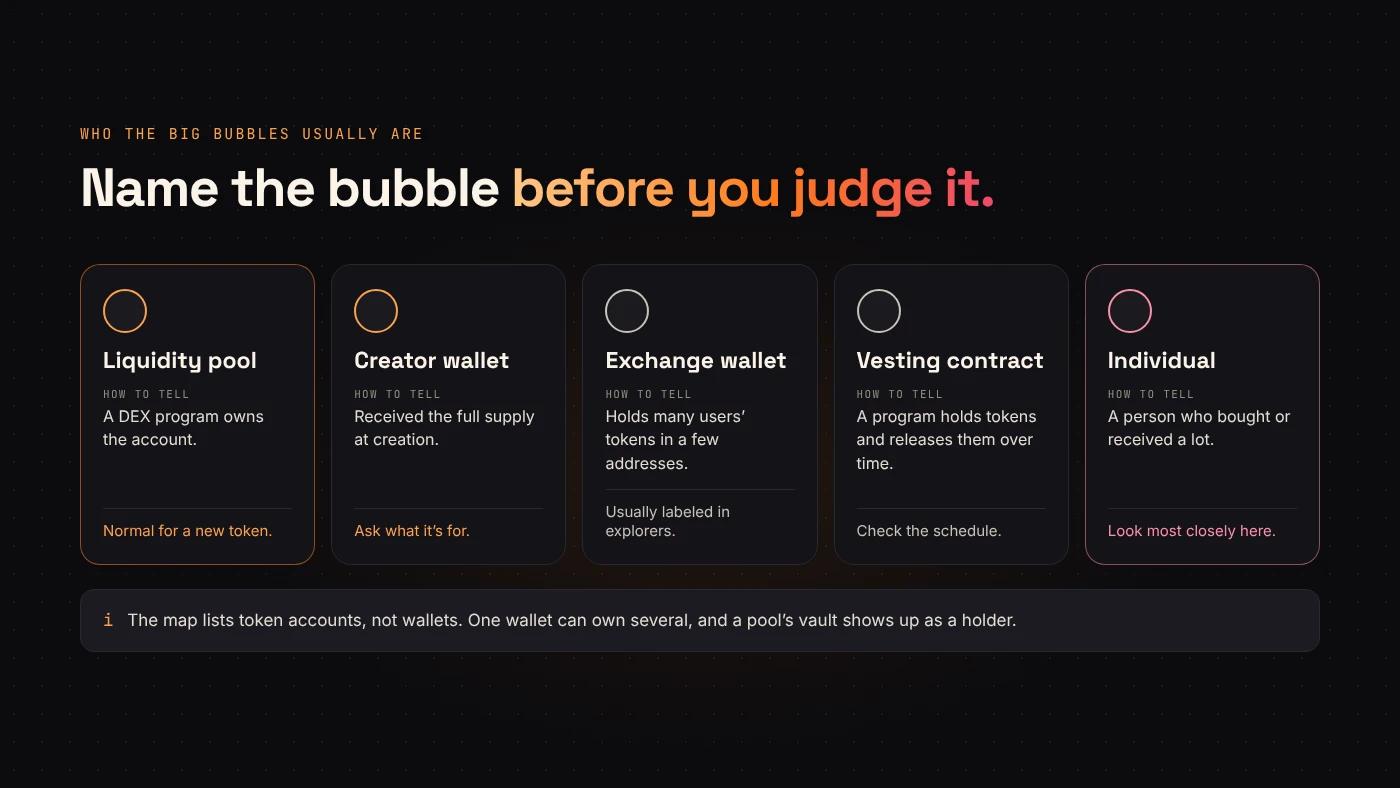 The common types of large holders — pool, creator, exchange, vesting contract and individual — and how to tell them apart.