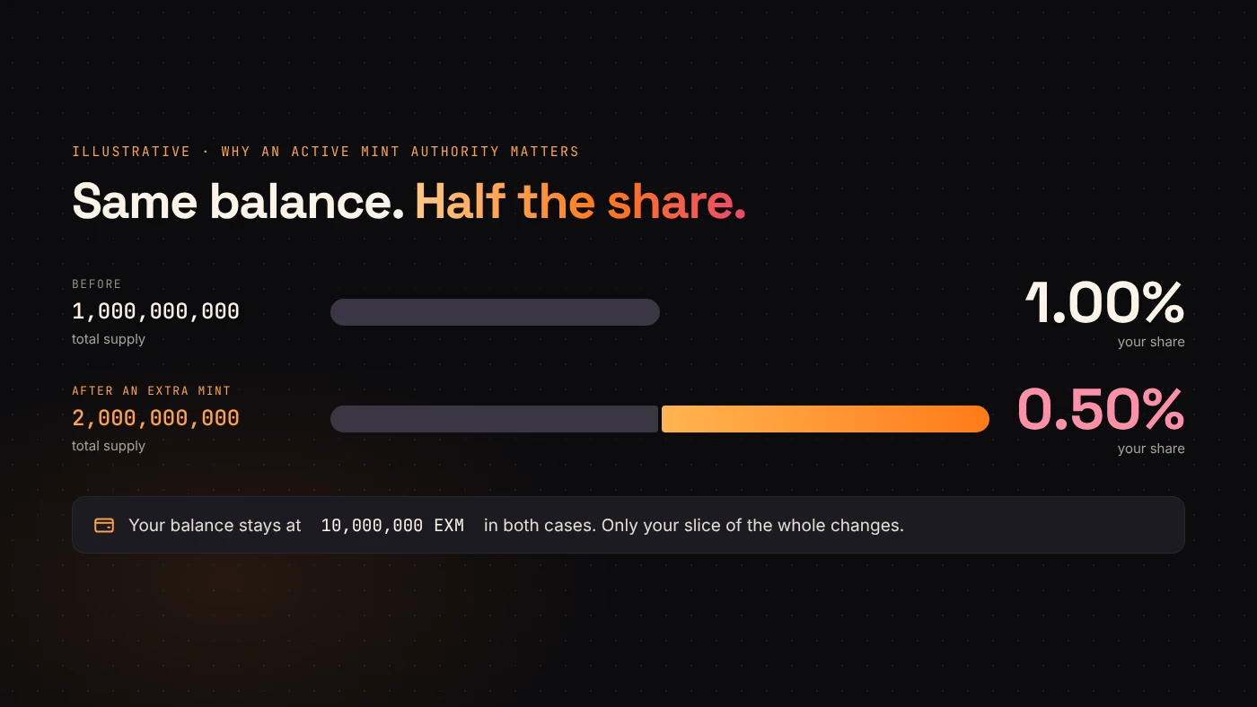 A supply example shows how minting another 1,000,000,000 tokens cuts a 1% holder's share to 0.5%.