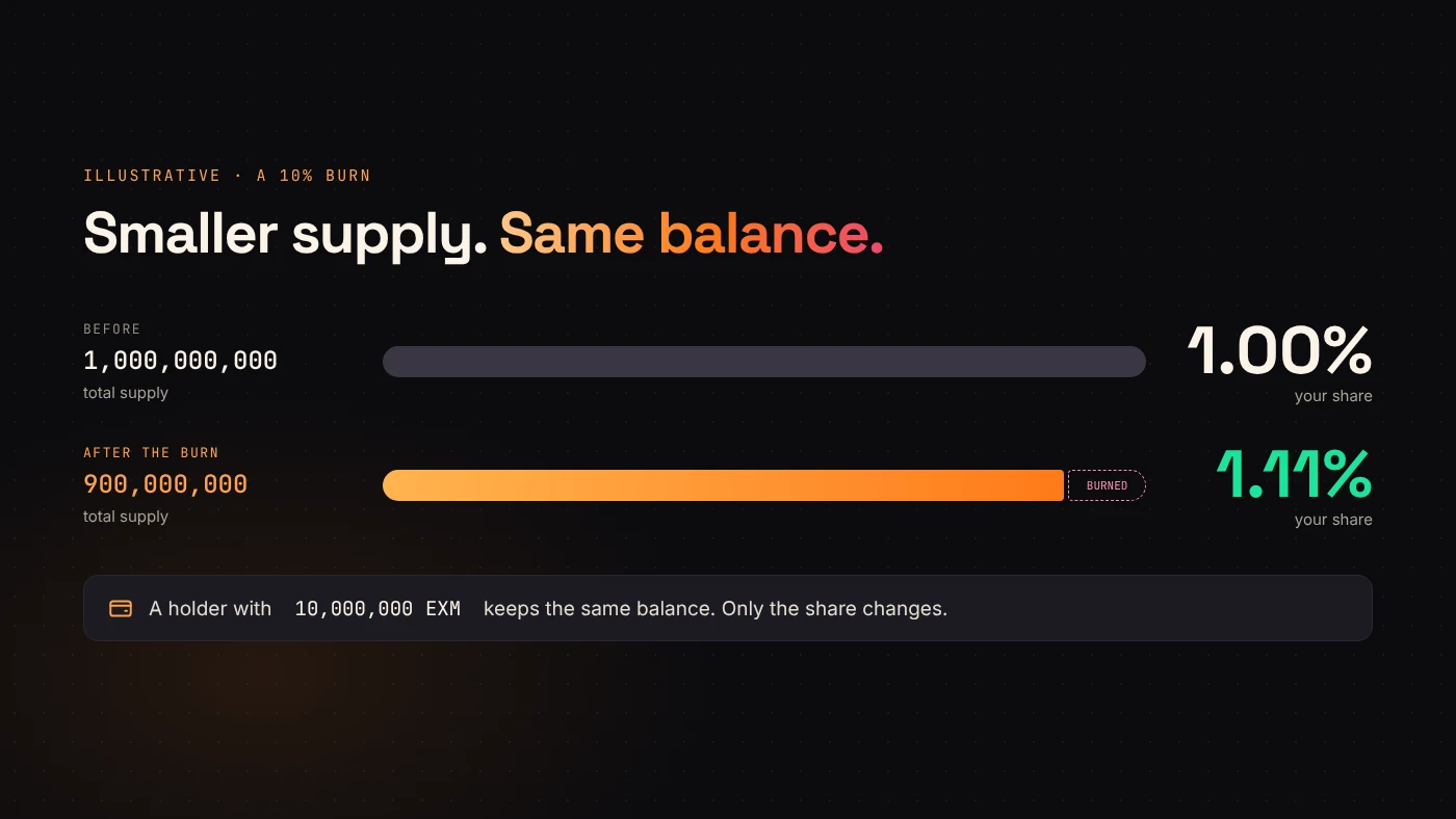 A supply bar shrinks from 1,000,000,000 to 900,000,000 after a 10% burn, and a 10,000,000-token holder's share rises from 1% to about 1.11%.